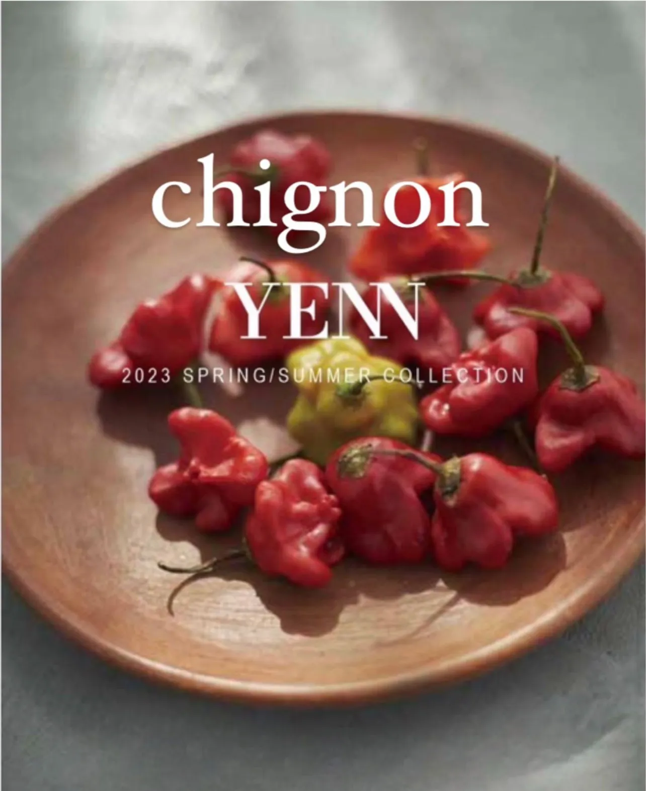 chignon 2023 Spring＆summer collection　