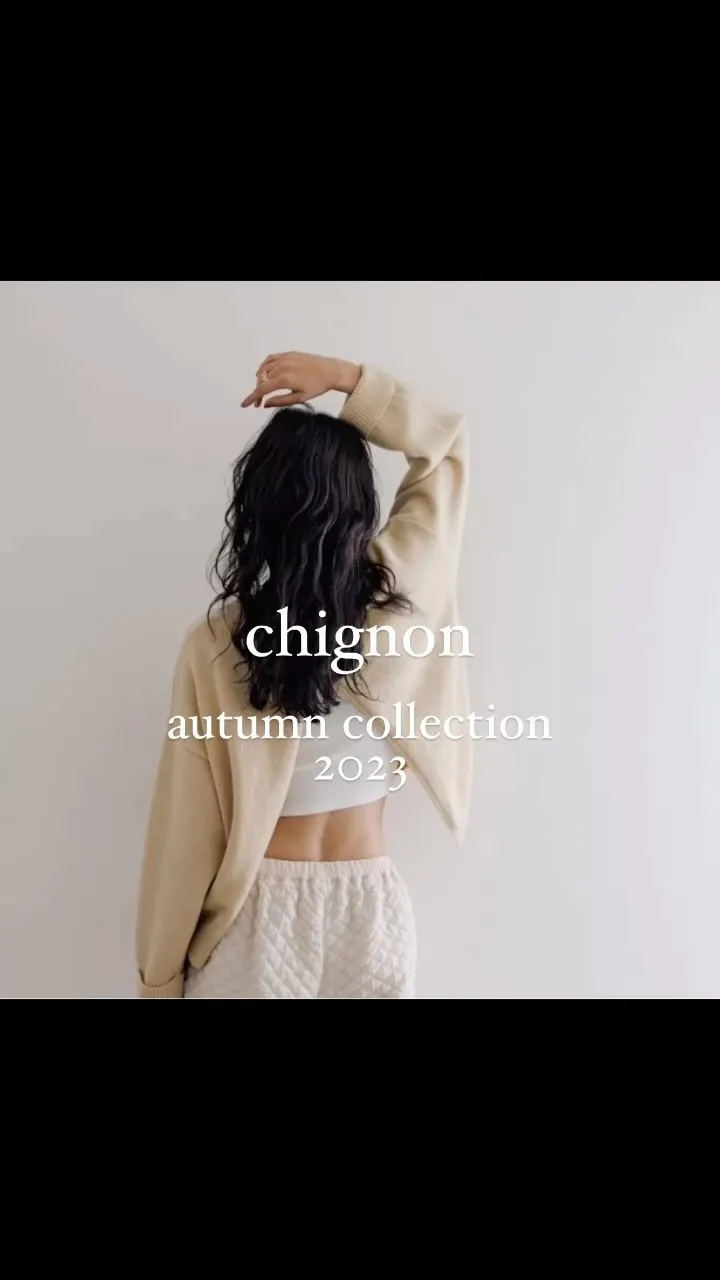 chignon autumn collection